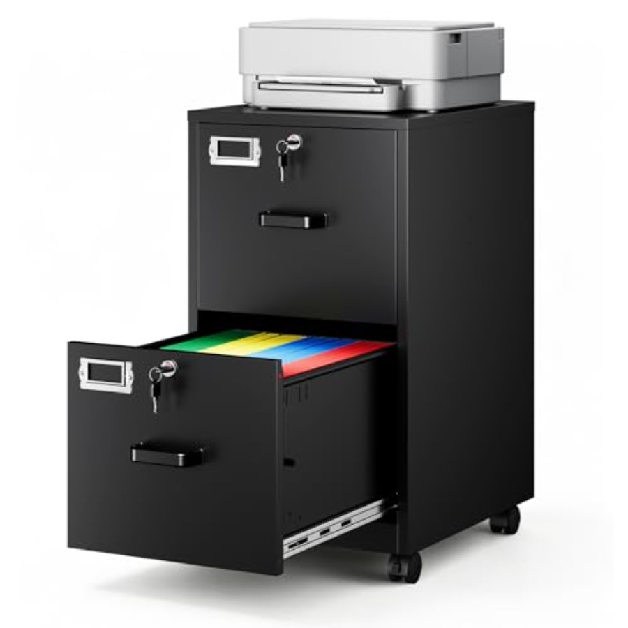 Armoire à dossiers à 2 tiroirs - File Folder Hanging avis et prix