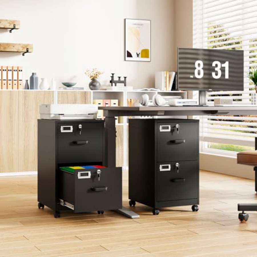 Armoire à dossiers à 2 tiroirs - File Folder Hanging avis et prix